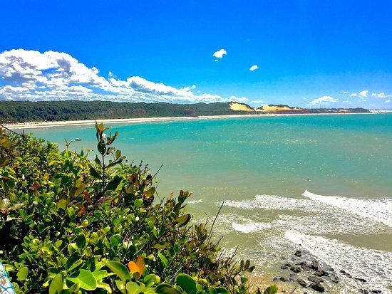 Ecological Sanctuary